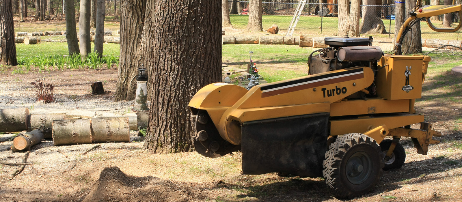 The Woodlands Stump Grinding Service