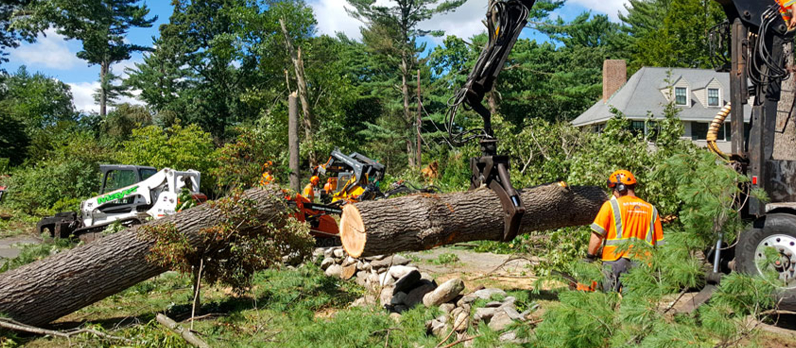 The Woodlands Tree Trimming Service