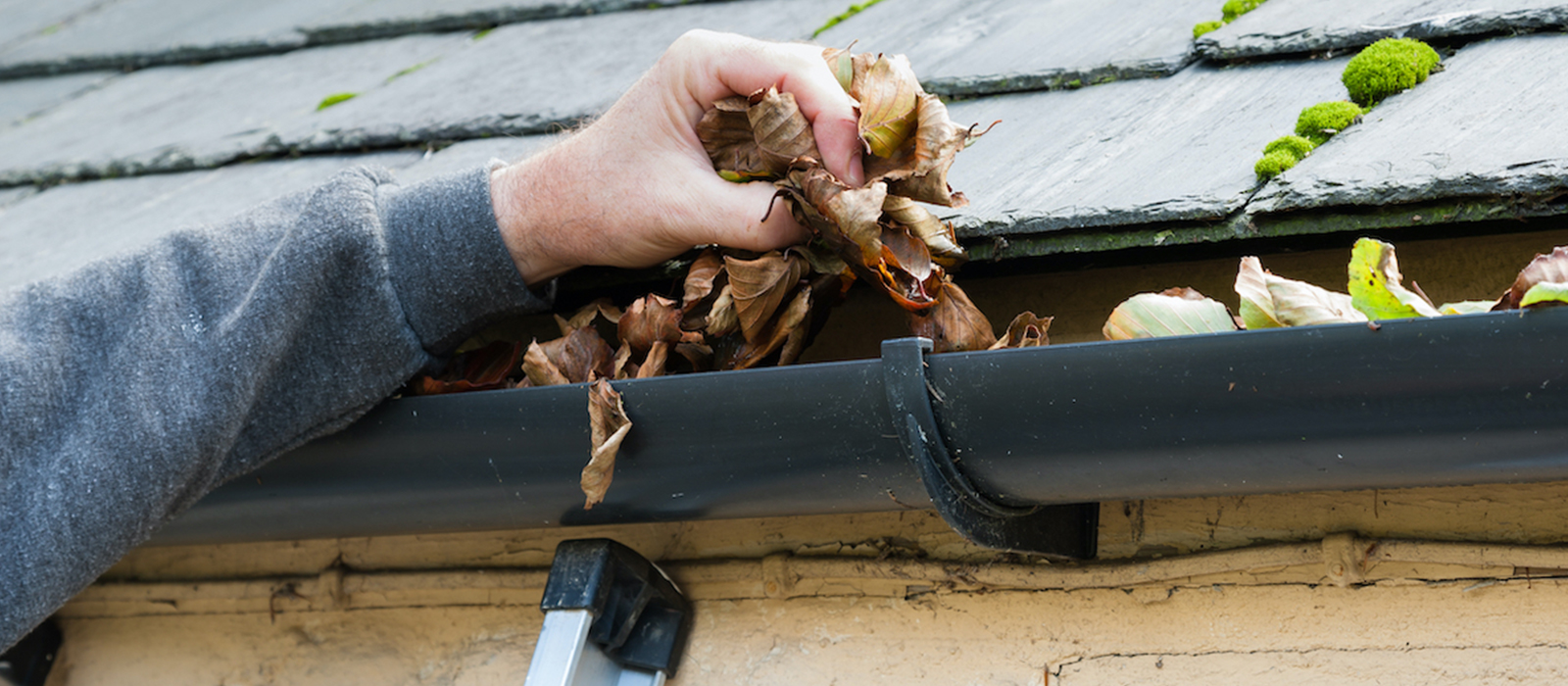 Keeping Your Gutters Clean Is Important- Outdoor Pros