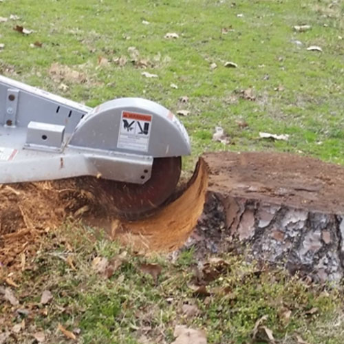 Houston Stump Grinding Service