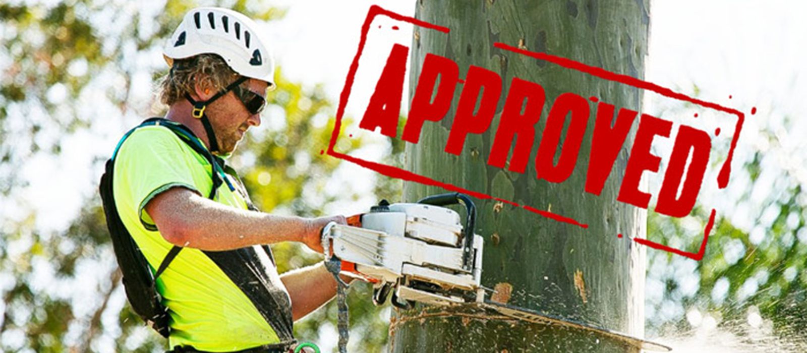 Tree Removal Permit Houston Tx- Outdoor Pros